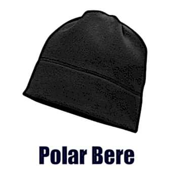 Polar Bere