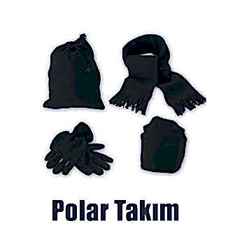 Polar Takım