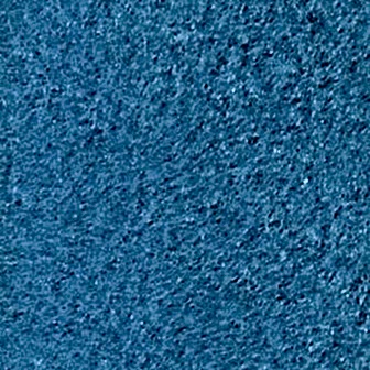 Suspendisse a ligula mauris. Duis.