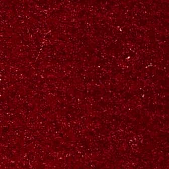 In tempus congue urna ut.