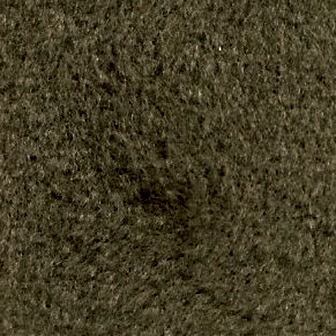 Suspendisse tincidunt nec sapien vitae.