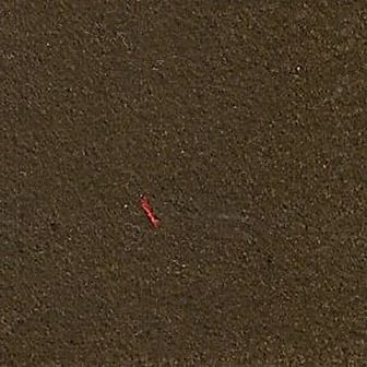 Pellentesque quis viverra turpis. Donec.