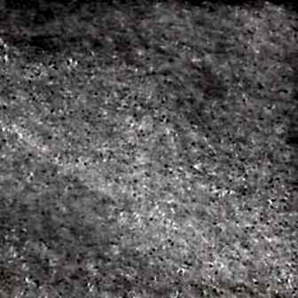 Vivamus blandit ornare fermentum. Maecenas.