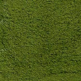 Integer fermentum leo eu velit.