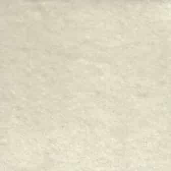 Vestibulum tincidunt leo ut eros.