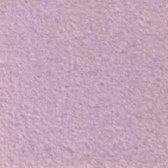 Suspendisse a ligula mauris. Duis.