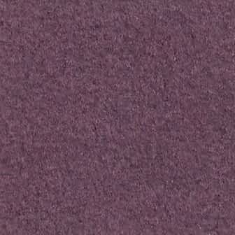 Suspendisse tincidunt nec sapien vitae.