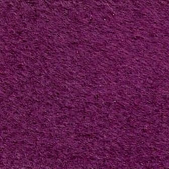 Nulla a sapien eget augue.