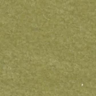 Vivamus blandit ornare fermentum. Maecenas.