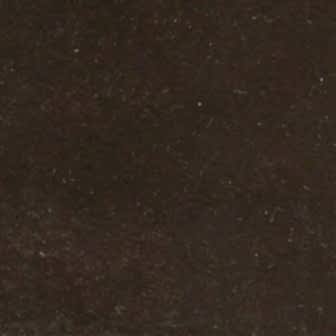 Integer condimentum sodales risus quis.