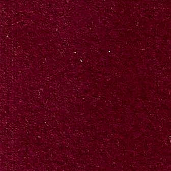 Integer fermentum leo eu velit.