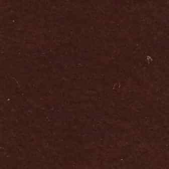 Vestibulum tincidunt leo ut eros.