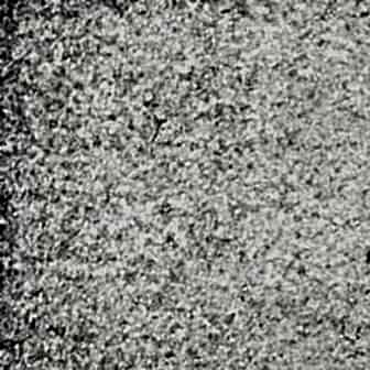 Suspendisse a ligula mauris. Duis.