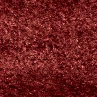 In tempus congue urna ut.