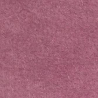 Nulla a sapien eget augue.